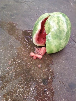 [Image: watermelon-043.jpg]